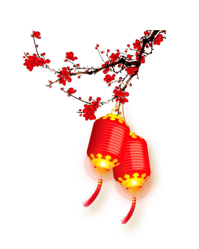 過(guò)年,燈籠,梅花(658×822)