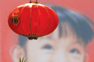 迎春節(jié) 湖南日報數(shù)字報刊