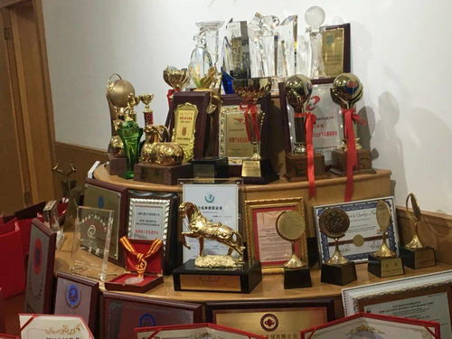 東河發生了一件大事兒,你知道嗎 多圖來襲